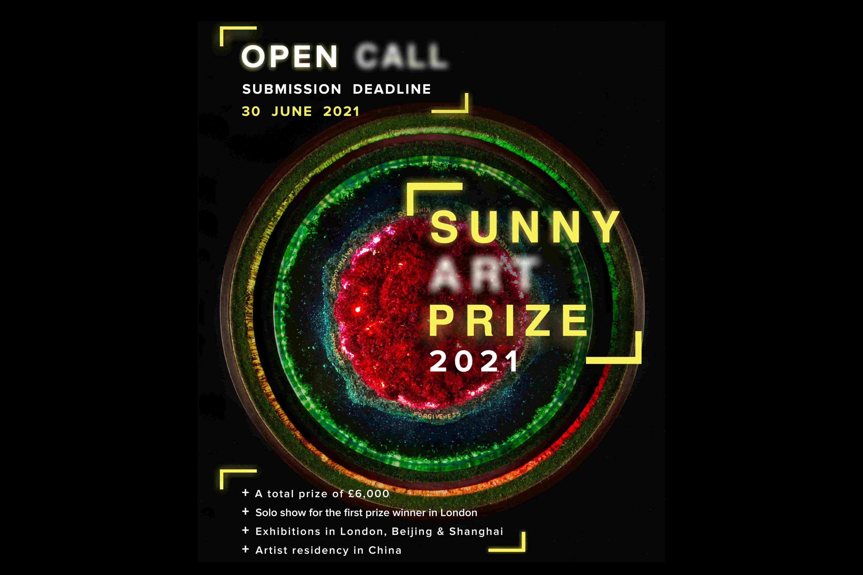 Sunny Art Prize