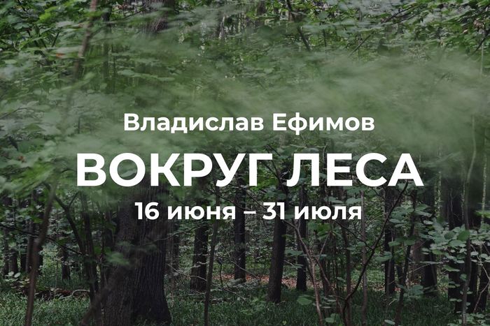 PENNLAB Gallery представляет выставку Владислава Ефимова «Вокруг леса»