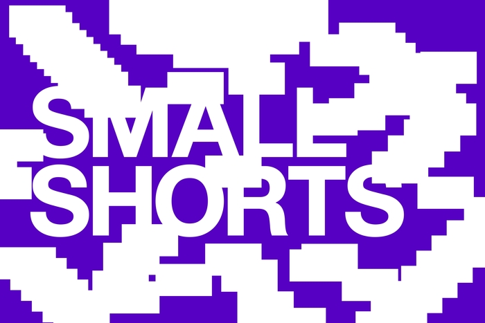 SmallShorts 2025. Международный студенческий фестиваль экранных искусств