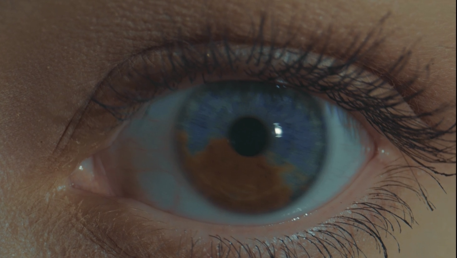 Мастерская CG lab 2: DaVinci Resolve. Color Correction