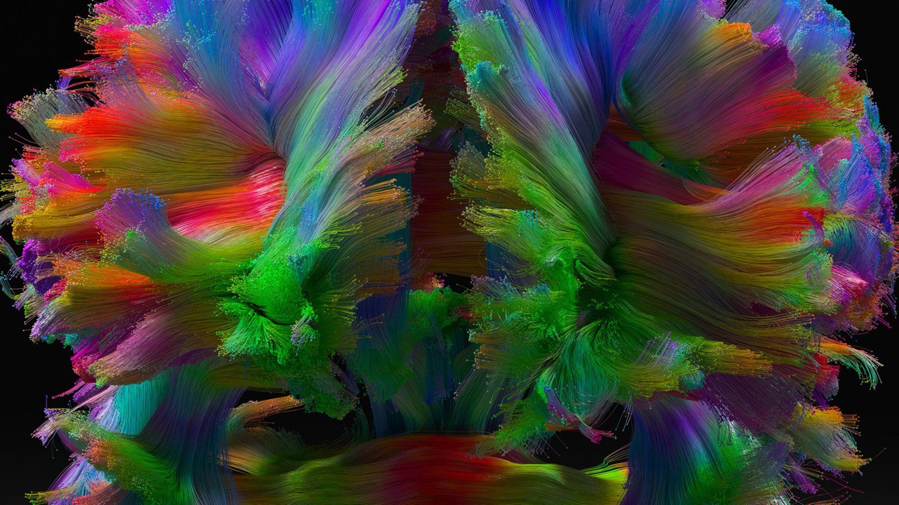 Мозг как медиа: нейротехнологии в искусстве