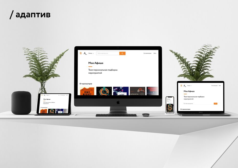 веб дизайн обучение университет