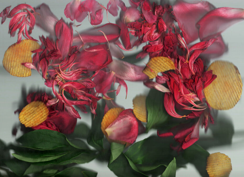 Анастасия Глушкова. scan+flowers #3