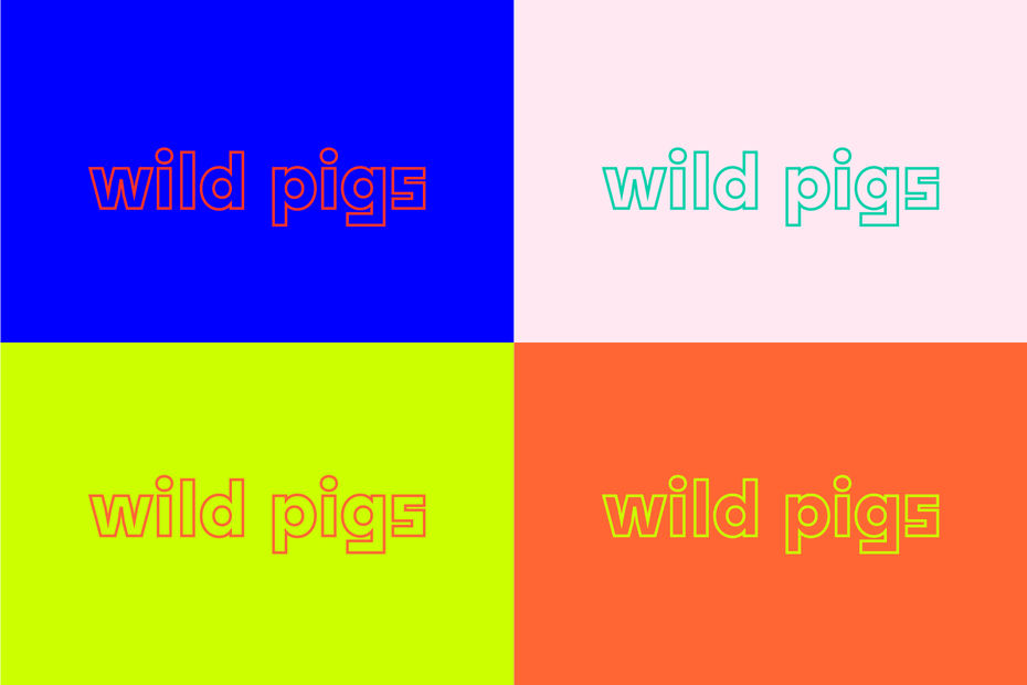 Брендинг компании Wild Pigs