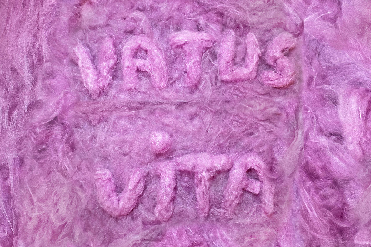 VATUS VITA. Интерактивная инсталляция студентки профиля «Современное искусство»