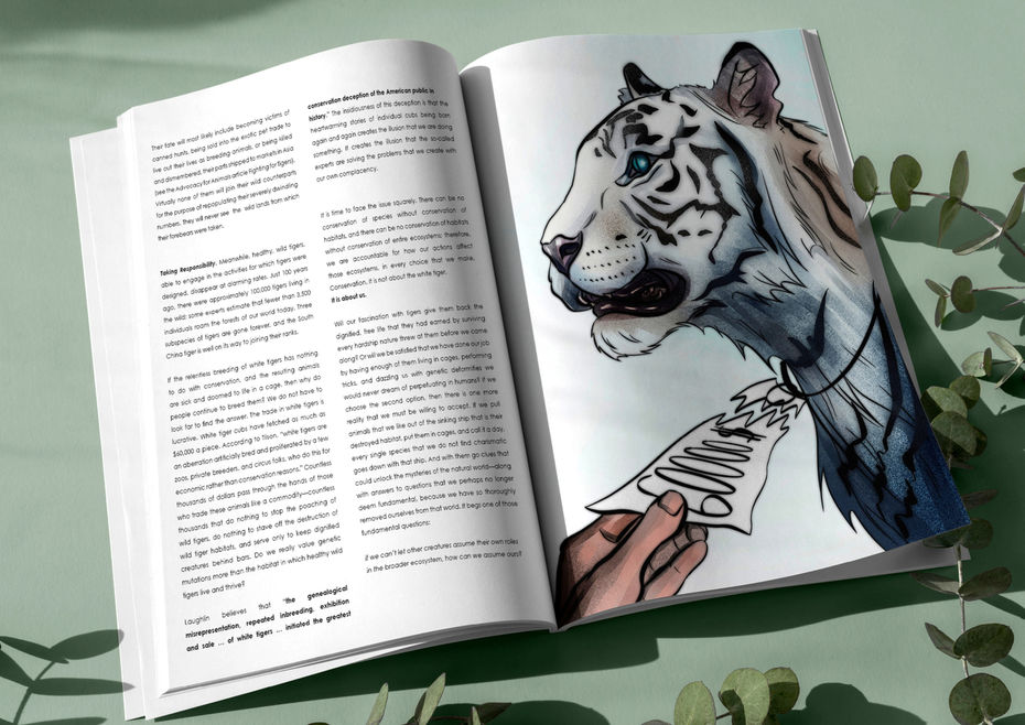 Полина Слепцова<br/>Иллюстрация к статье White Tigers: Conserving a lie