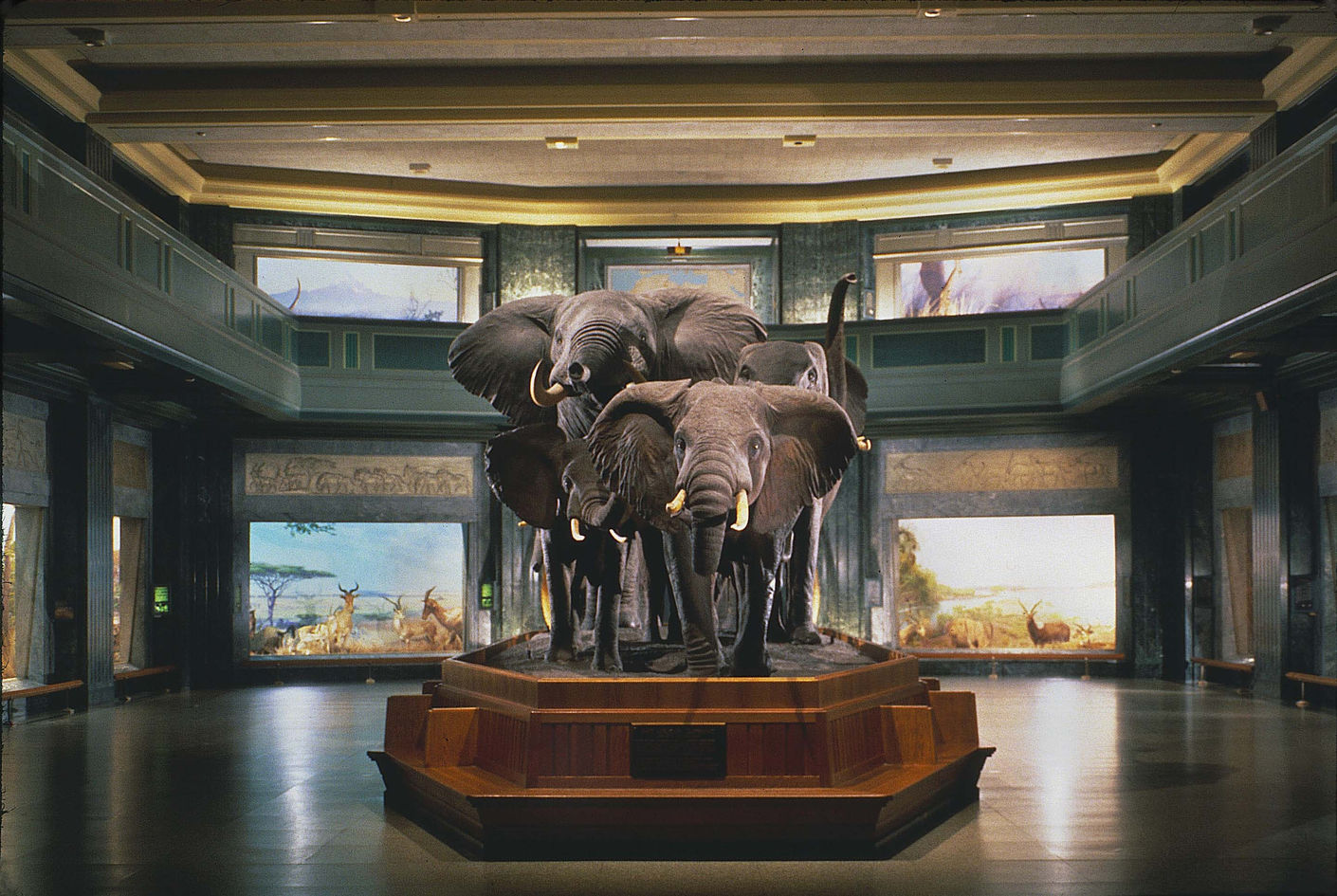 Зал Африканских млекопитающих, Американский музей естественной истории. Создан в 1920-1930-е годы. Автор съемки: Д. Финнин