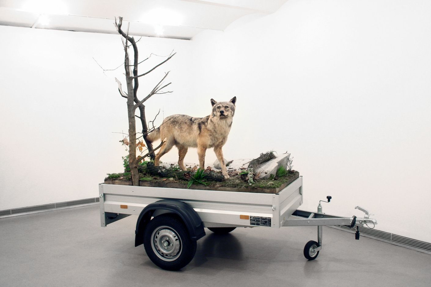 Mark Dion. Mobile Wilderness Unit — Wolf, 2006
