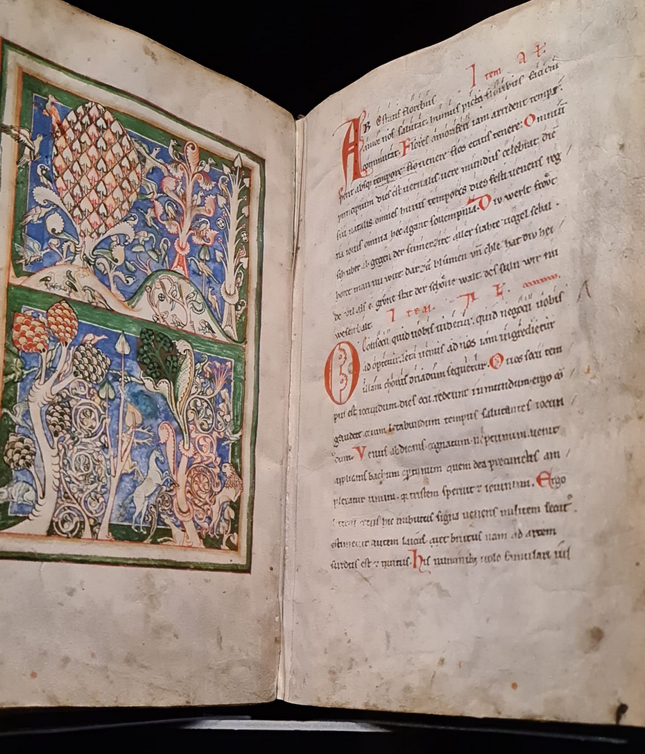 Carmina Burana Манускрипт. Ок. 1230 — XIV в. Баварская государственная библиотека