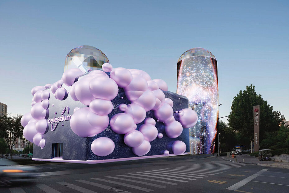 Вероника Шульгина. Бакалавриат. Работа за I курс