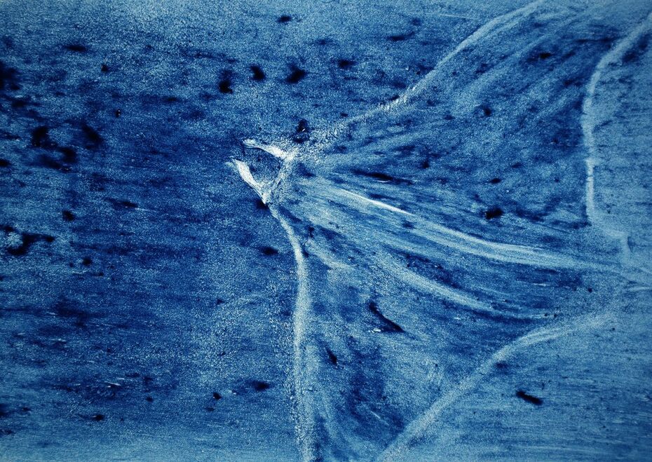 Нина Филиппова, Жанна Фомина, SO DEEP SO BLUE