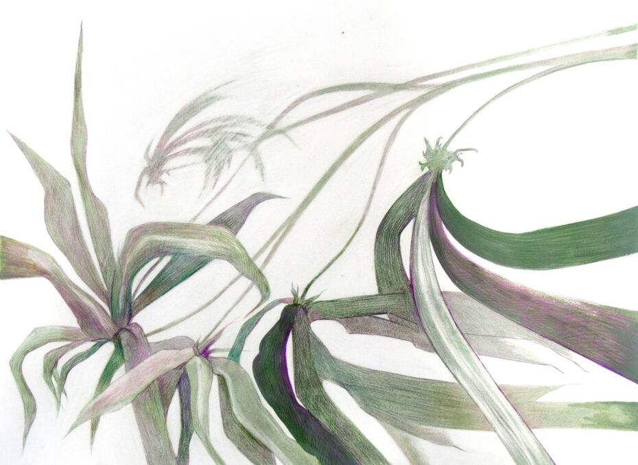 Ира Афанасьева. Рука