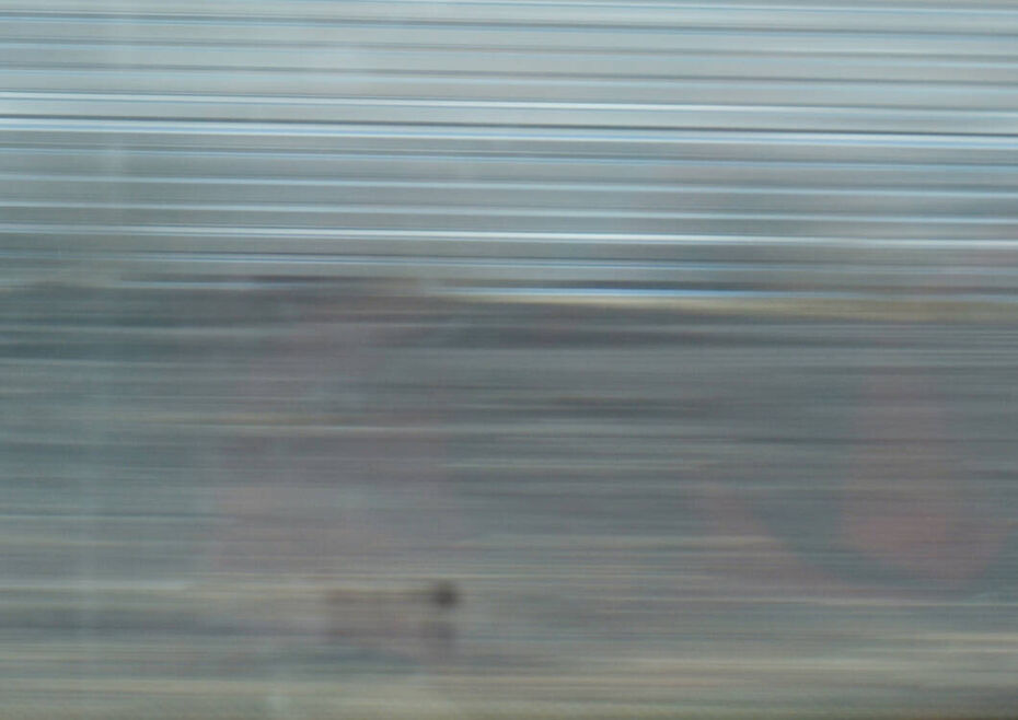 Арина Вакилова. Harmony paths