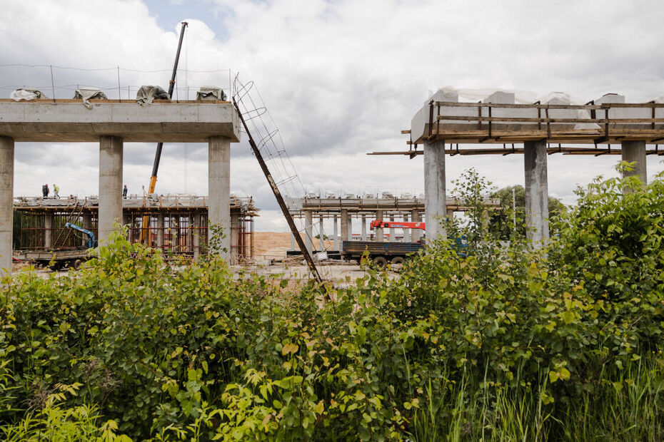 Дарья Калнина. Открытый мир