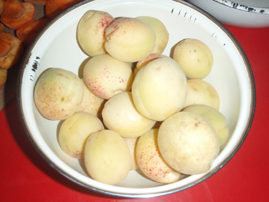 Alisa Lapshina. Another summer