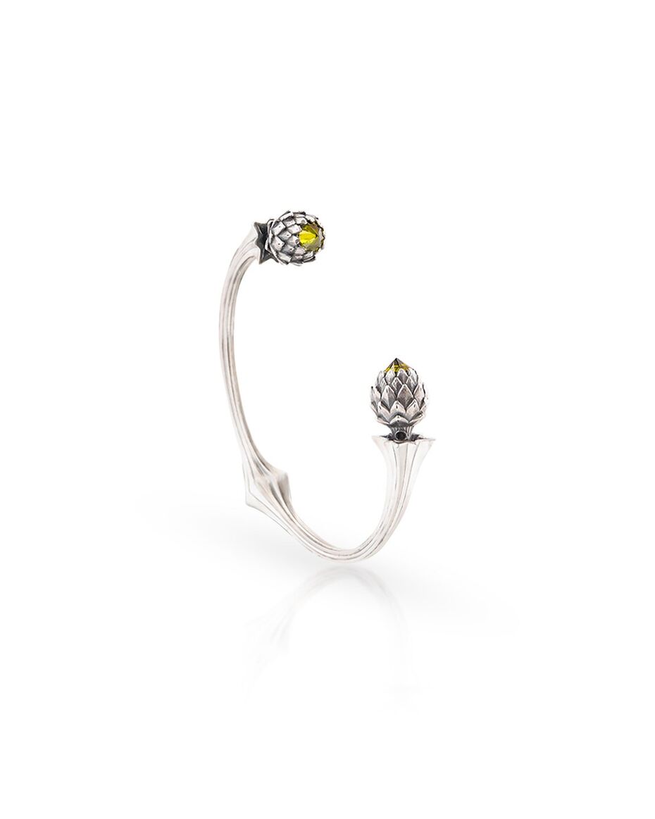 Артём Шамраев. Артишоки