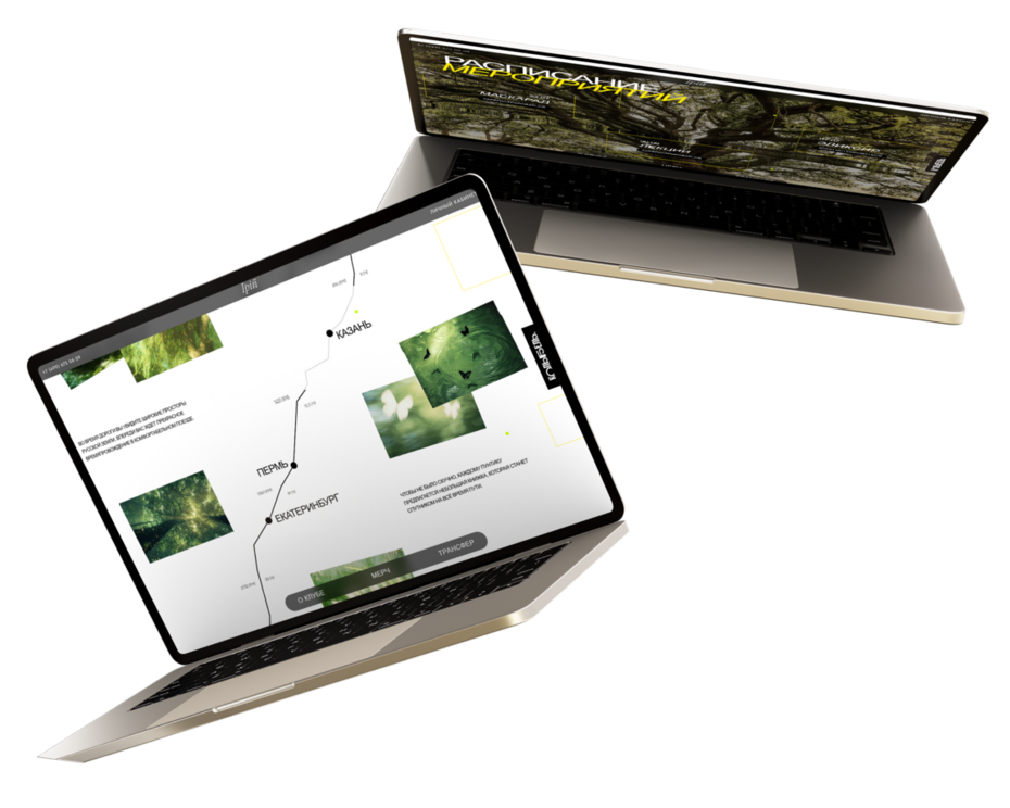 Анастасия Комарова. Работа за I курс